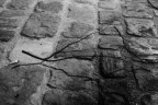 la fragilità di un fumatore la fragilità di un fumatore