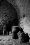 Vecchia cantina 2 Vecchia cantina 2