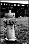 FirePlug FirePlug