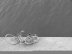 Bici abbandonata... Bici abbandonata...