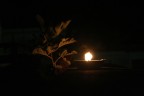 fuoco fuoco
