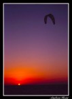 Kite Kite