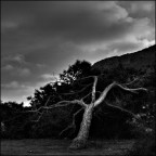 Disegnato dal vento I Disegnato dal vento I