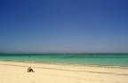 Solitario sulla spiaggia Solitario sulla spiaggia