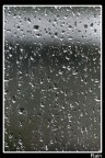 Rain Rain