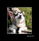 prendo il sole prendo il sole