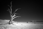 Una "visione" del deserto del Namib.
Pareri, critiche, suggerimenti e commenti come sempre sono ben accetti.
Ciao
