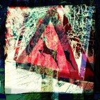 Caprioli vaganti Caprioli vaganti