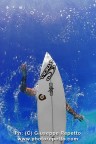 Surf Surf