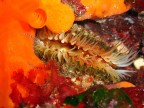 Incredibili colori del mare