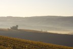 Alba a Ghizzano 2 Alba a Ghizzano 2