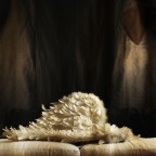 diciannovesettembre diciannovesettembre