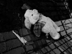 Addio Mondo Crudele !!! Addio Mondo Crudele !!!