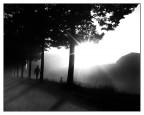 ::: ATTRAVERSO LA LUCE ::: ::: ATTRAVERSO LA LUCE :::