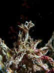 IDMONEA