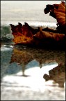 Autunno Autunno