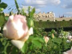 Versailles...tra le rose
