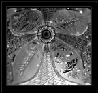 Fiore di vetro Fiore di vetro