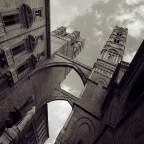 Cattedrale Cattedrale