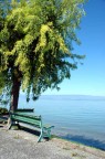 Un piccolo scorcio del Lago Lemano, scattato sulla sponda francese nei pressi di Evian. Che ve ne pare ? Ho provato a saturare un p il colore, mi piace il risultato sulle foglie dell'albero ma sono curioso di sentire i vostri pareri!