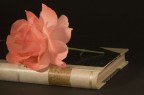 la rosa ed il libro la rosa ed il libro