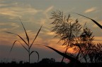 Only a sunset Only a sunset