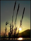Silhouette Silhouette