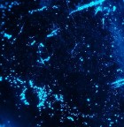 ecco dove viviamo ecco dove viviamo