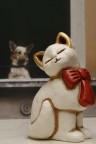 cane e gatto