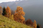 Autunno nelle Orobie Valtellinesi Autunno nelle Orobie Valtellinesi