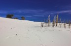 due passi fra le dune