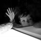 occhi nella teca occhi nella teca