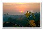 La sera della vendemmia La sera della vendemmia