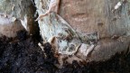 Prova Macro Prova Macro