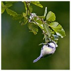 L' ultimo tiro poi smetto... L' ultimo tiro poi smetto...