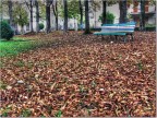 Parco autunnale Parco autunnale