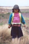 Bimba ecuadorenia Bimba ecuadorenia