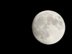 Ieri sera ho provato a fare un p di foto alla luna, questo  quello che sono riuscito a tirare fuori. Syavo con il CANON EF 75-300mm f/4-5,6 III.

Commenti e suggerimenti.