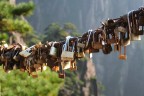 love lock love lock