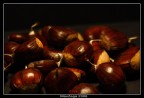 Tempo di castagne Tempo di castagne