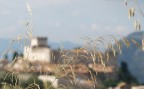 Sermoneta