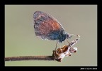 Sigma 180 - F16 - 1/6 - ISO 200 - Cavalletto, scatto remoto