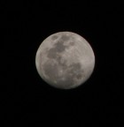Crop di foto alla Luna fatta con Fuji S5500.
