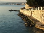 passeggio,fonte aretusa,ortigia passeggio,fonte aretusa,ortigia