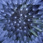 contest texture contest texture