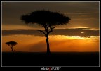 Il pi classico dei tramonti africani, dal Masai Mara.