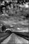 La strada senza domani... La strada senza domani...