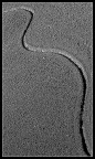 semplicemente una linea semplicemente una linea
