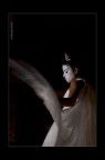 SWAN SWAN