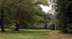 Nel giardino inglese della Reggia di Caserta,chiss dove porta quel piccolo viale ;)